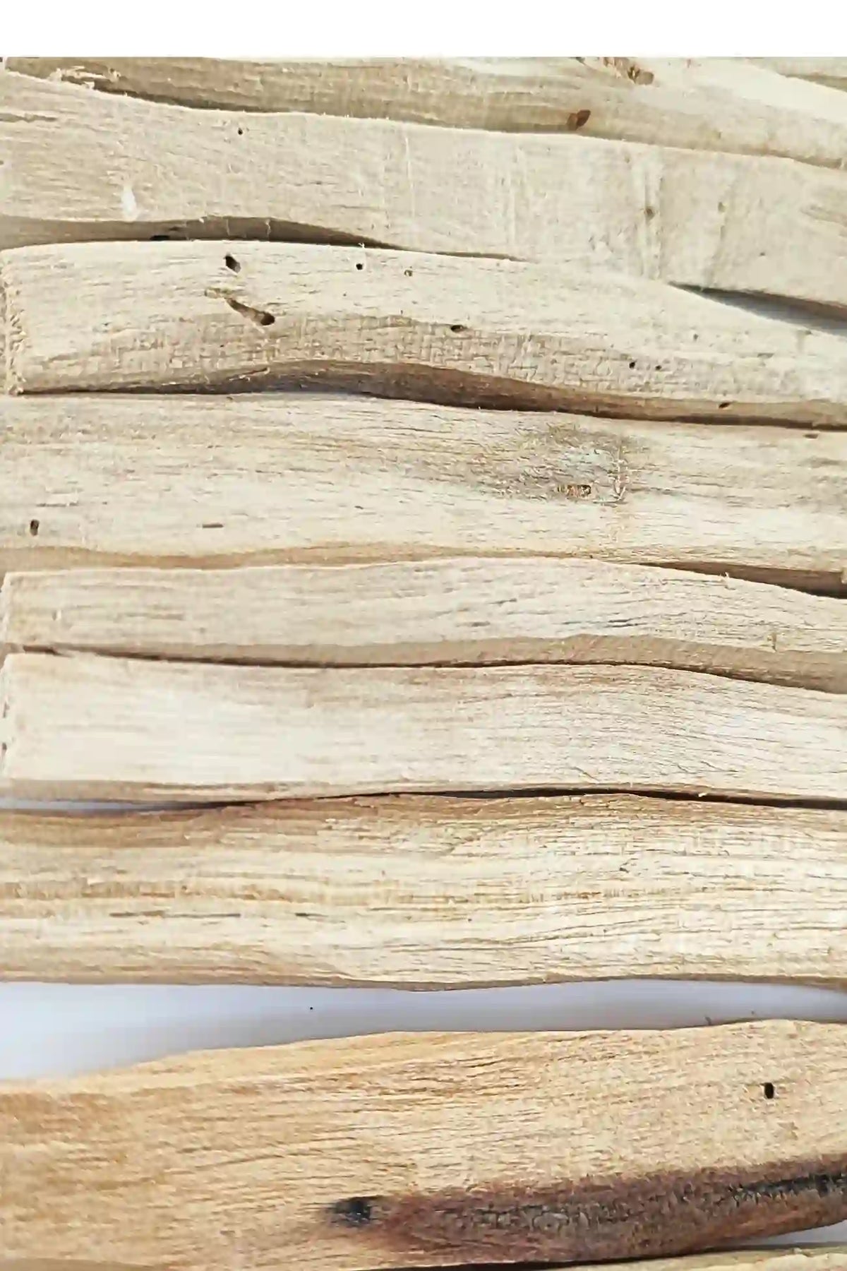 Palo Santo Ecuador Comuneros Close-up view